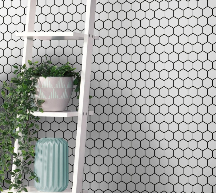 HEXA LINE