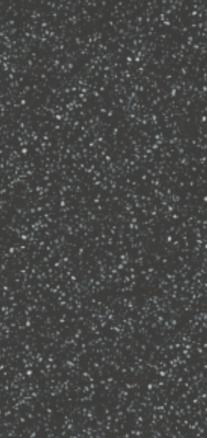 coin black