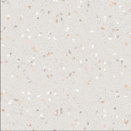5005
