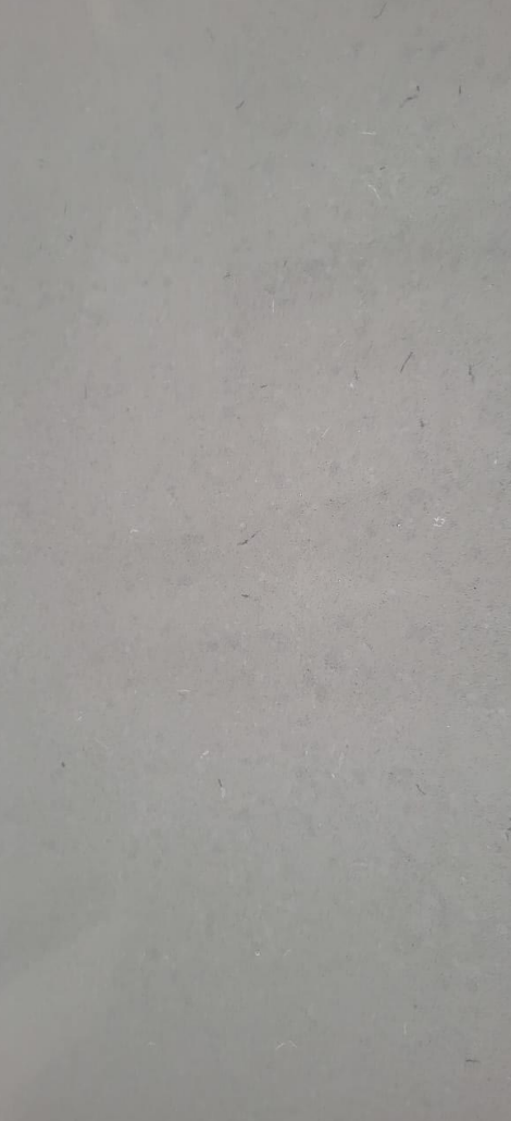 GRAY FLOROO