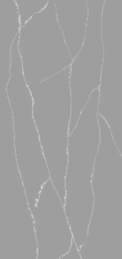 platinum grey