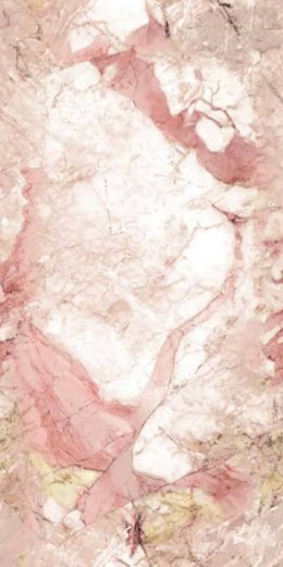 ROSA AURORA