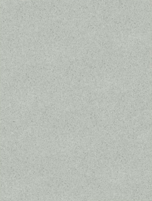 Grigio Cam