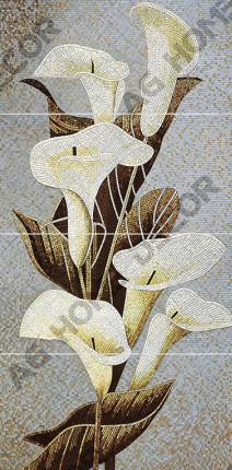 Moon Lily