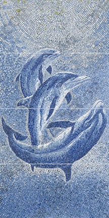 Ocean Dolphins