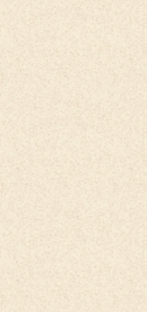 coasta ivory