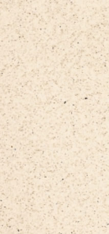 coasta maple