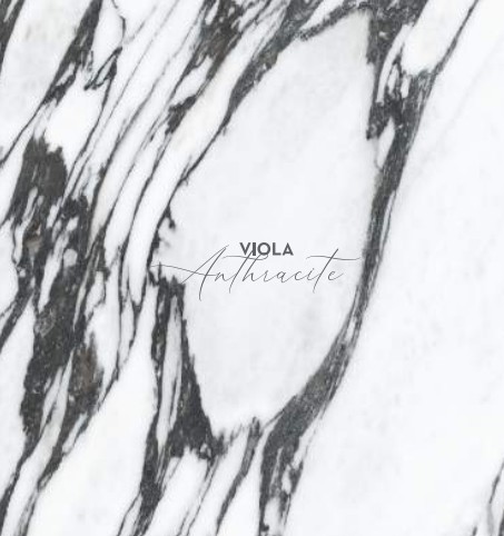 violo vino