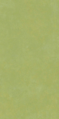prisma mint