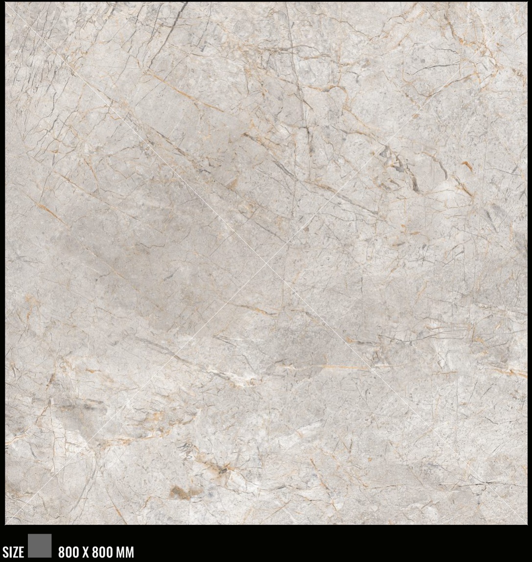 orbito grey