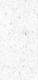 swiss carrara