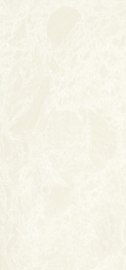 astone beige