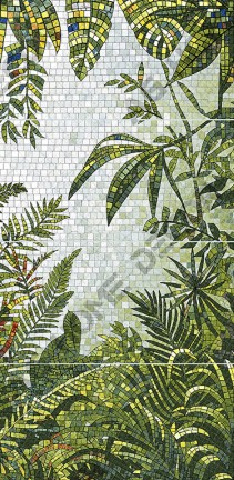 Rainforest