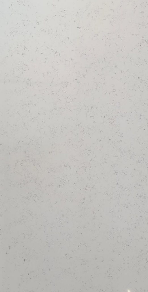 CARRARA CASADA