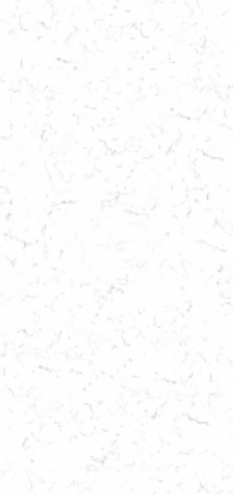 arctic white