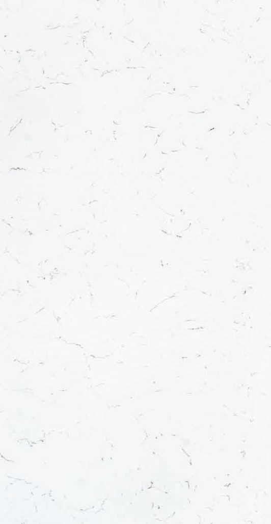 CARRARA PLASMA